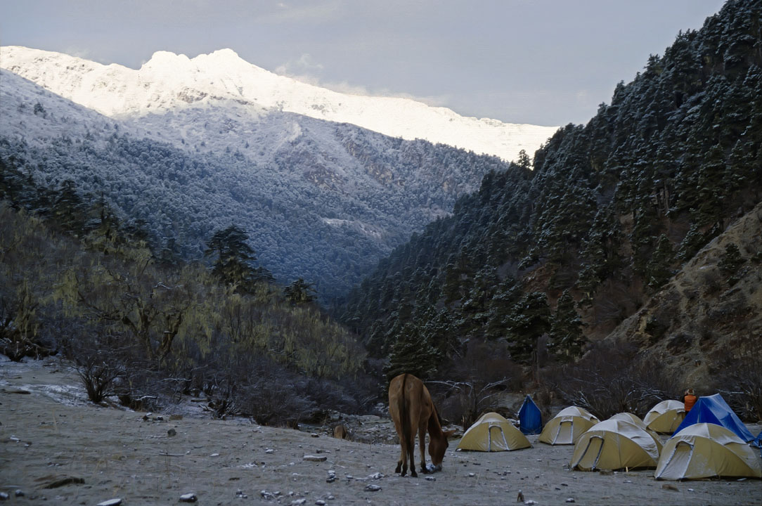 b_414m trek5.jpg - Bhoutan - vallée de Thimphu, memorial chorten "l'aube sur le camp de Yaksa (""lieu des yaks""). Quelques flocons de fine neige sont  tombés pendant la nuit"